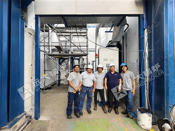Peru Project Service For Industrial Electric Thermal Oil Heater Boiler