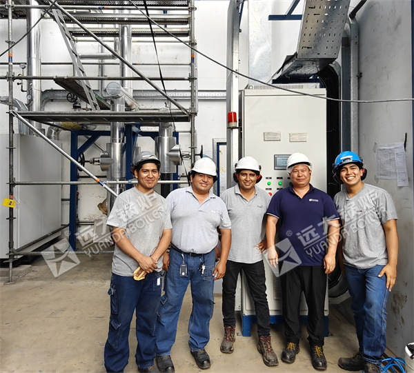 Electric Hot Oil Heater Boiler Installation Service