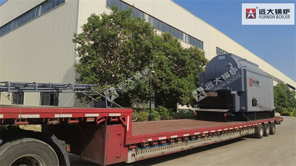 4Ton Biomass Steam Boiler For Food Factory Indonesia