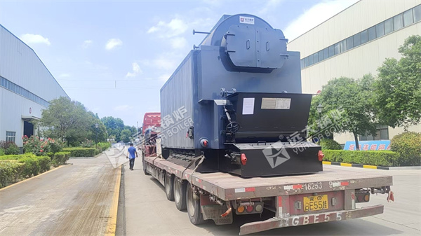 4ton hour Coal Steam Boiler In Mongolia