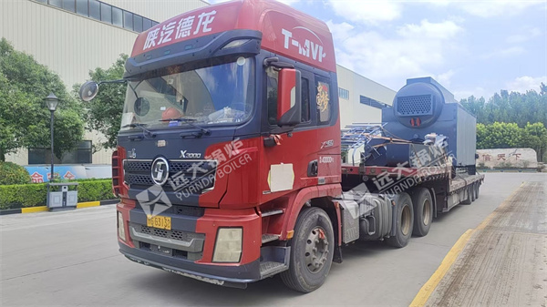 4ton hour Coal Steam Boiler In Mongolia