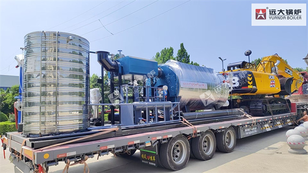 Uzbekistan Project Steam Generator Boiler 1000kg hour