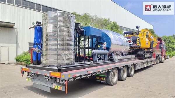 Uzbekistan Project Steam Generator Boiler 1000kg hour
