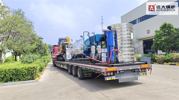 Uzbekistan Project Steam Generator Boiler 1000kg hour
