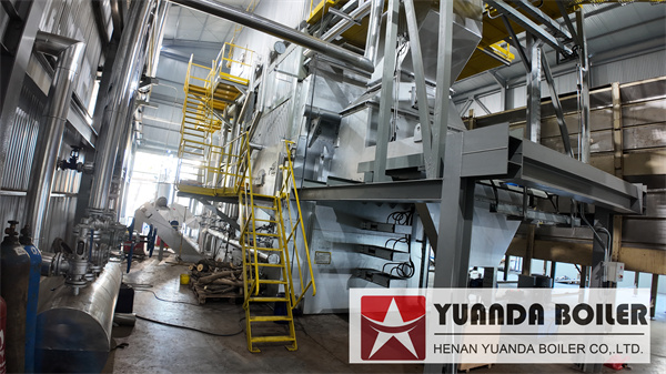 Biomass Wood Chips Fired Boiler 10Ton For Cigarette Factory Indonesia