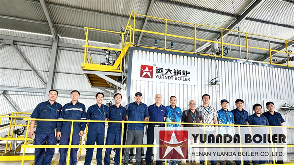 Biomass Wood Chips Fired Boiler 10Ton For Cigarette Factory Indonesia