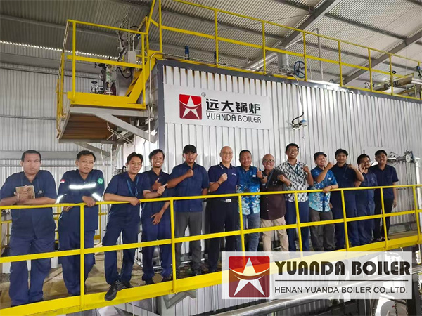 Wood Chips Tree Bark Biomass Steam Boiler 10Ton Per Hour