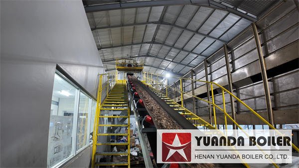 Wood Chips Tree Bark Biomass Steam Boiler 10Ton Per Hour