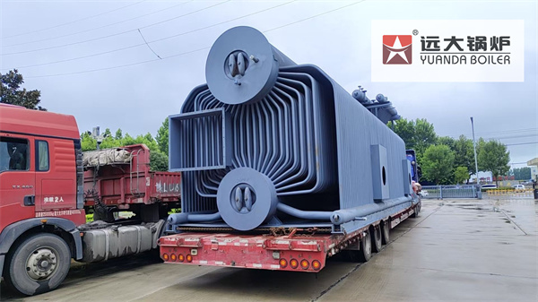 25 Ton Biomass Fired Steam Boiler | Industrial Water Tube Biomass Boiler