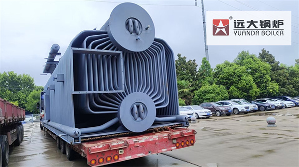 25 Ton Biomass Fired Steam Boiler | Industrial Water Tube Biomass Boiler