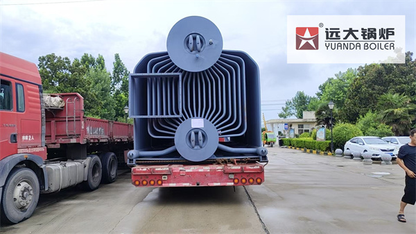 25 Ton Biomass Fired Steam Boiler | Industrial Water Tube Biomass Boiler