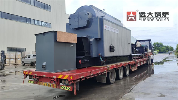 4Ton Coal Steam Boiler For Food Factory Kyrgyzstan