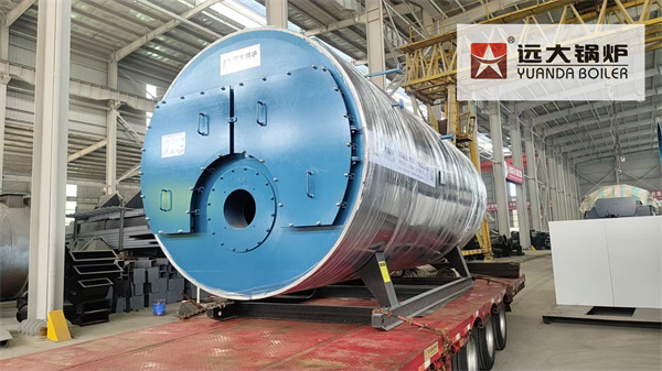 Canada Project | Natural Gas Steam Boiler 5Ton Hour