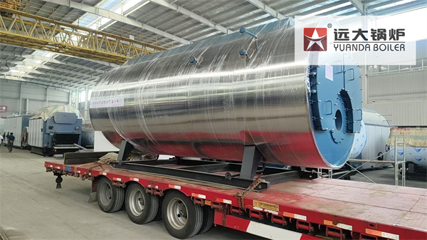 Canada Project | Natural Gas Steam Boiler 5Ton Hour
