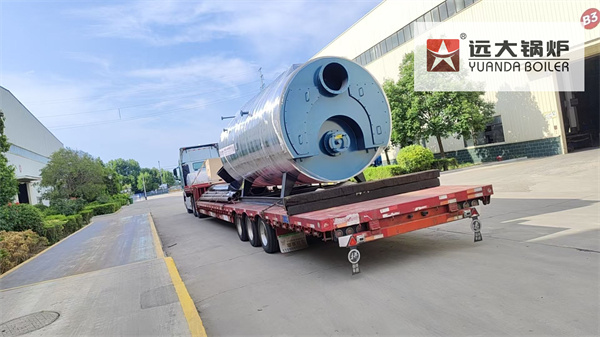 Canada Project | Natural Gas Steam Boiler 5Ton Hour