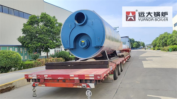 Canada Project | Natural Gas Steam Boiler 5Ton Hour