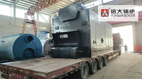 6Ton Biomass Steam Boiler For Edible Oil Factory Kenya