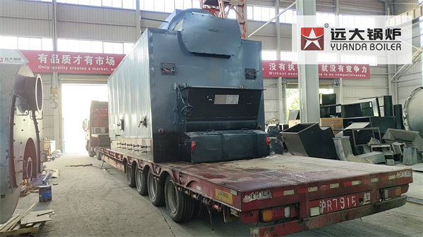 6Ton Biomass Steam Boiler For Edible Oil Factory Kenya