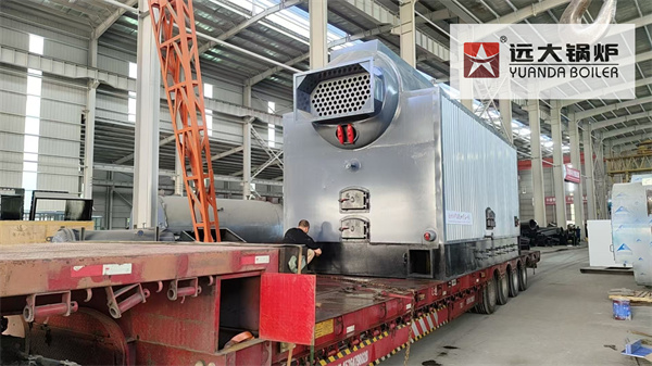 6Ton Biomass Steam Boiler For Edible Oil Factory Kenya