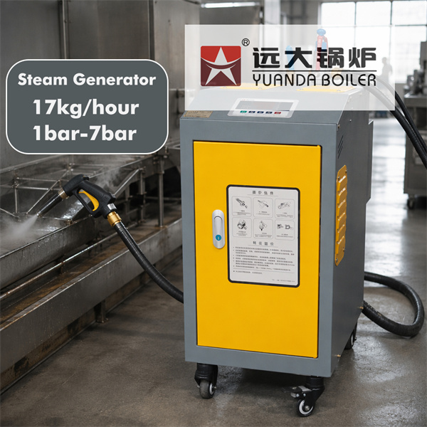 17kg hour Electric Steam Generator For Cleaning Application
