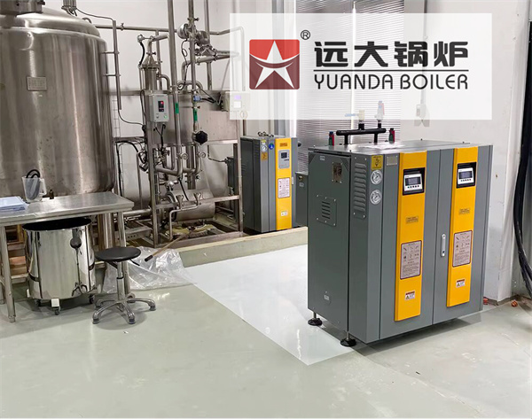 Food Processing Steam Generator Boiler | Electric Boiler Made in China