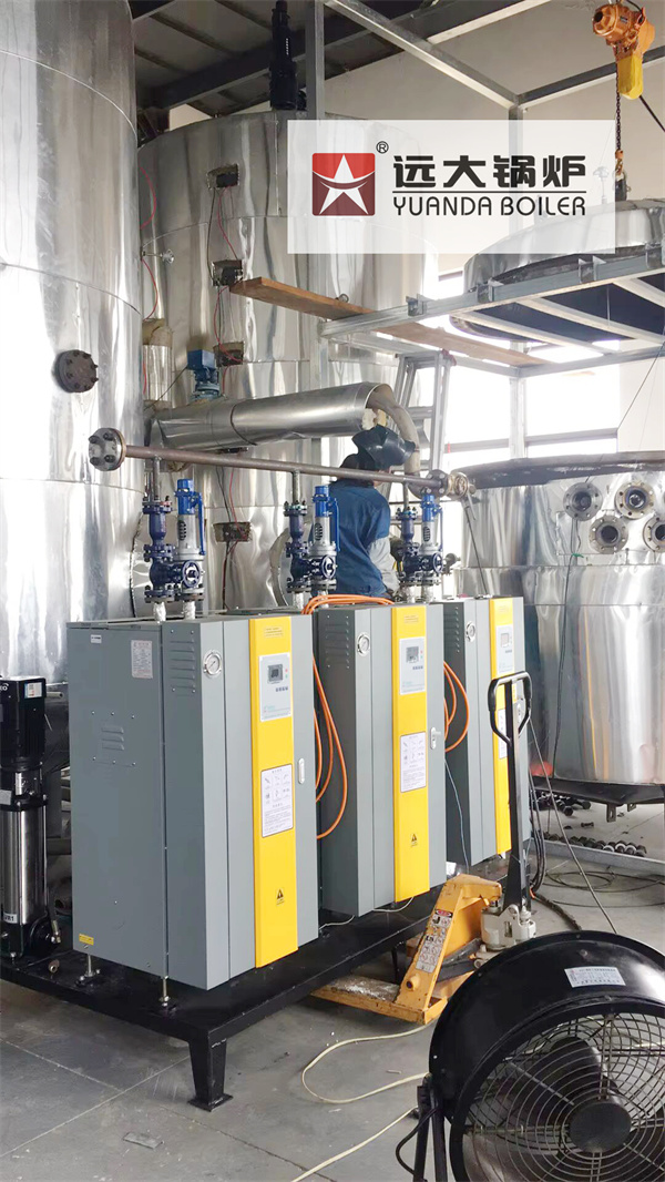 LDR Vertical Electric Steam Boiler For Reactor Heat Exchanger