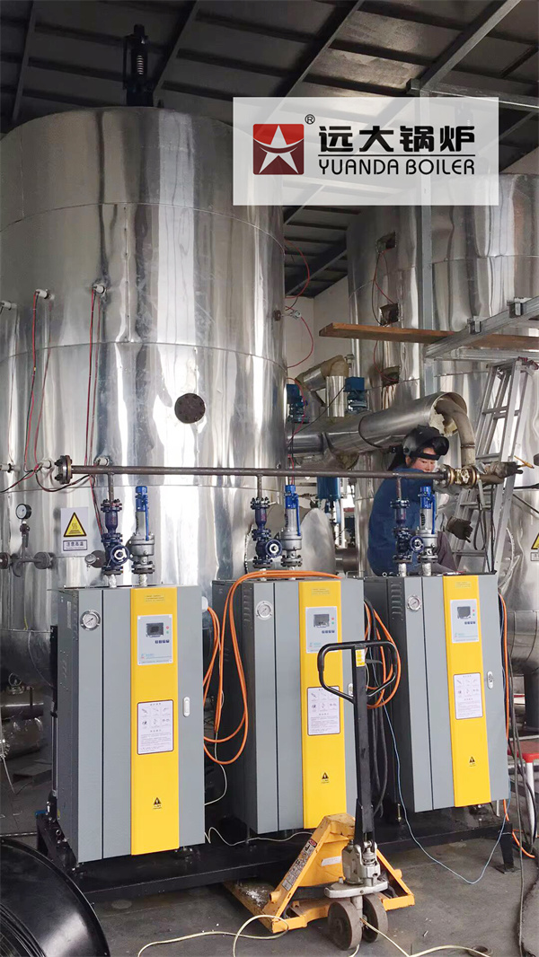 LDR Vertical Electric Steam Boiler For Reactor Heat Exchanger