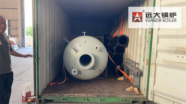 Vertical Wood Biomass Boiler 500kg | Small Water Tube Boiler
