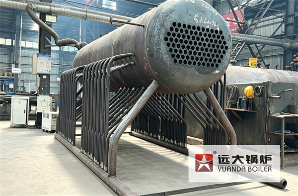 DZL Chain Grate Boiler | Water Tube and Fire Tube Boiler Structure