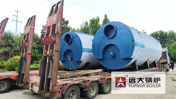 Uzbekistan Natural Gas Heating Steam Boiler 20Ton Hour