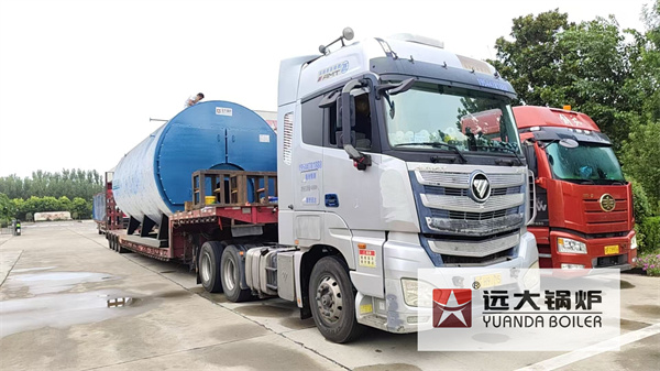 Uzbekistan Natural Gas Heating Steam Boiler 20Ton Hour