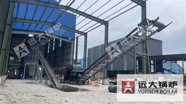 Industrial Biomass Steam Boiler for Paper Mill | 15 Ton Biomass Boiler