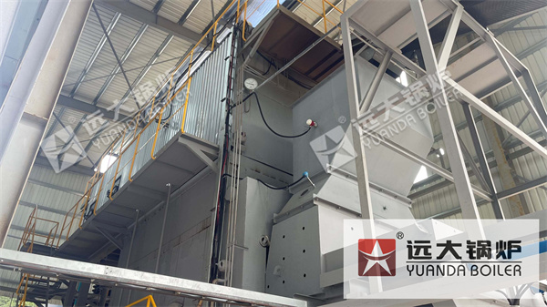 Industrial Biomass Steam Boiler for Paper Mill | 15 Ton Biomass Boiler