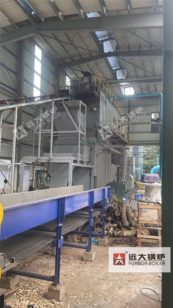 Industrial Biomass Steam Boiler for Paper Mill | 15 Ton Biomass Boiler