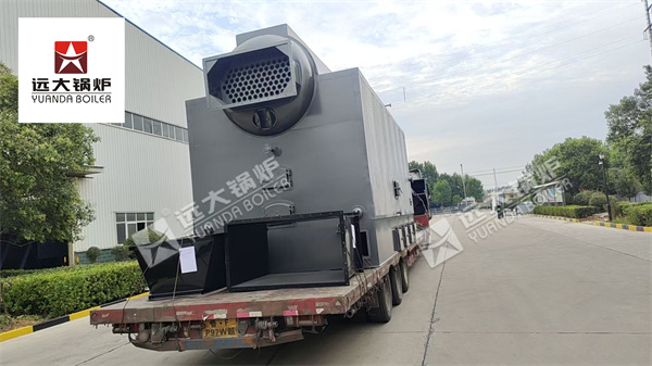 6Ton Biomass Steam Boiler For Food Factory In Ghana