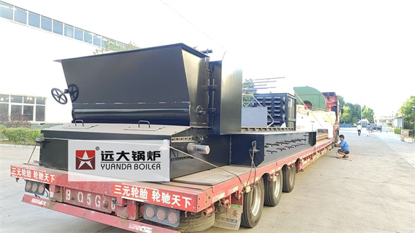 8Ton Chain Grate Coal Fired Steam Boiler Delivery to Inodnesia