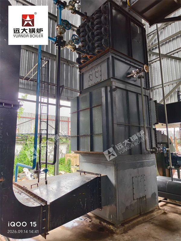 SZW 10 Ton Biomass Steam Boiler with Complete System