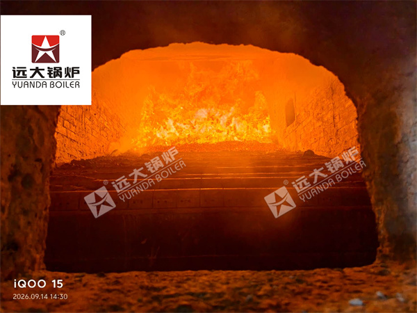 10 Ton Biomass Boiler Installation & Commissioning in Myanmar