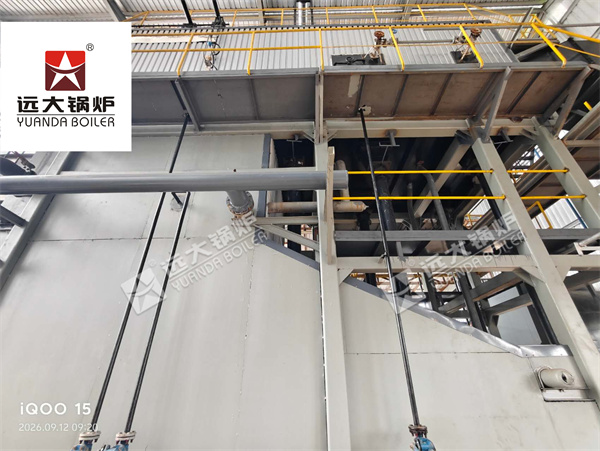 10 Ton Biomass Boiler Installation & Commissioning in Myanmar