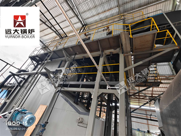 10 Ton Biomass Boiler Installation & Commissioning in Myanmar
