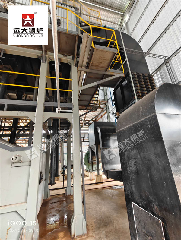 10 Ton Biomass Boiler Installation & Commissioning in Myanmar