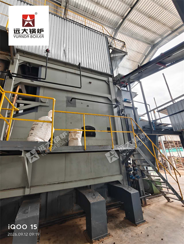 SZW 10 Ton Biomass Steam Boiler with Complete System