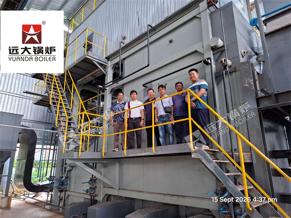 SZW 10 Ton Biomass Steam Boiler with Complete System