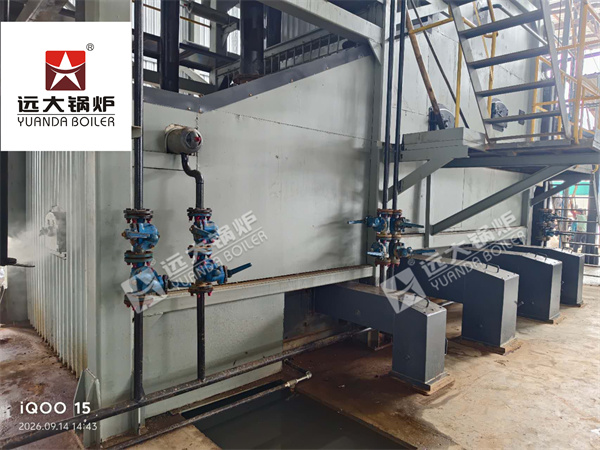 10 Ton Biomass Steam Boiler for Food Factory in Myanmar