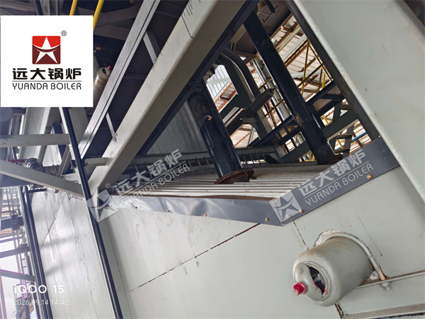 SZW 10 Ton Biomass Steam Boiler with Complete System