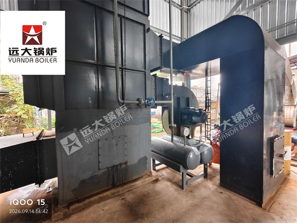 10 Ton Biomass Steam Boiler for Food Factory in Myanmar