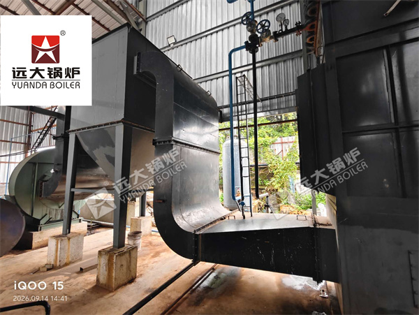SZW 10 Ton Biomass Steam Boiler with Complete System