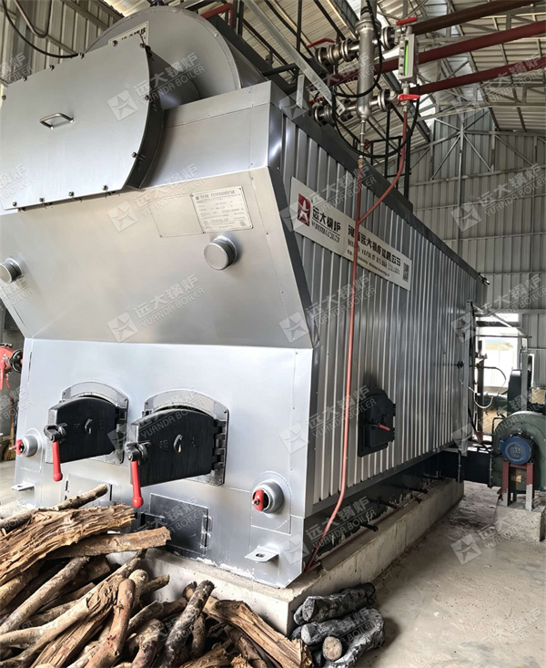 4000 kg hour Firewood Steam Boiler For Food Factory Cambodia