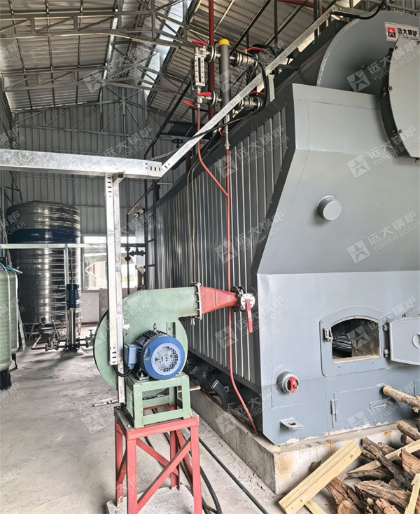 4000 kg hour Firewood Steam Boiler For Food Factory Cambodia