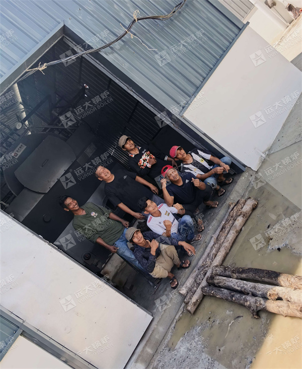 4000 kg hour Firewood Steam Boiler For Food Factory Cambodia